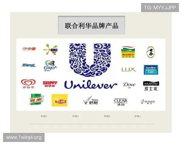 凯发国际k8直播平台的安全保障措施与隐私保护策略，确保用户信息安全无忧